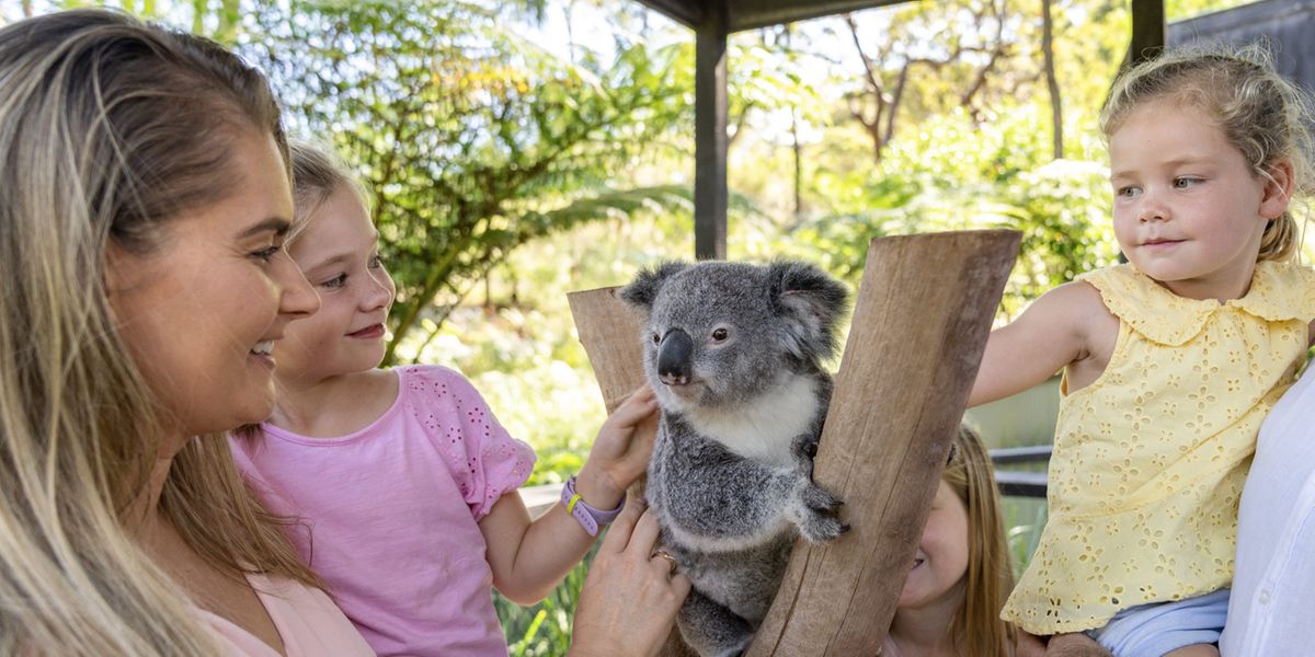 3828541-3828540_sydney-landscape-images_1500x750___0002_sydney-somersby-central-coast-1061789-134credit-tourism-aust